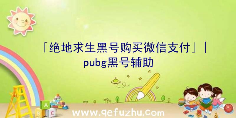 「绝地求生黑号购买微信支付」|pubg黑号辅助